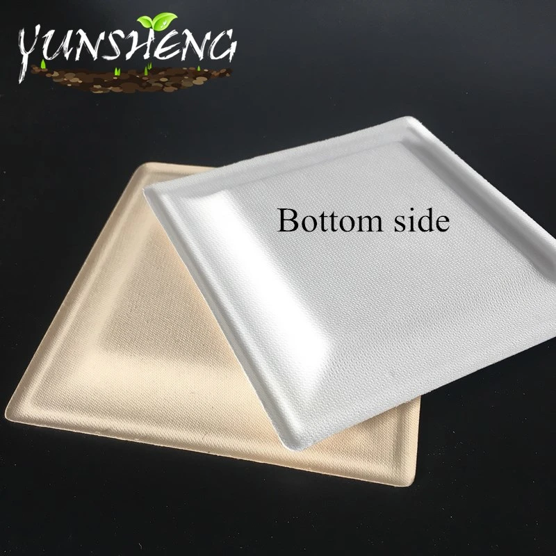Disposable White Compostable Durable Paper Square Plate for Fruit