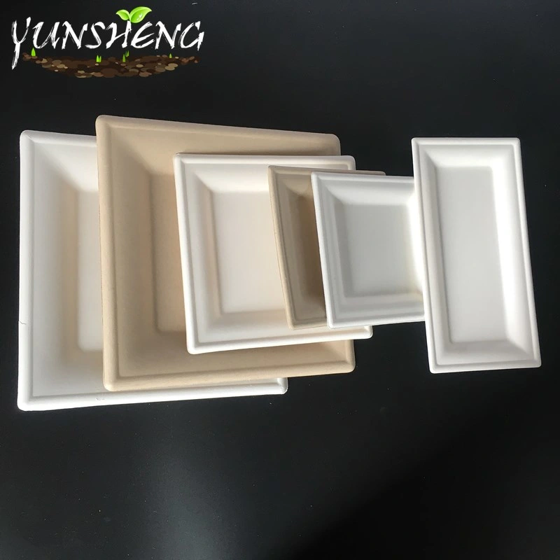 Disposable White Compostable Durable Paper Square Plate for Fruit